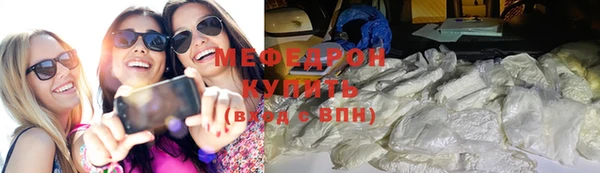 индика Козельск