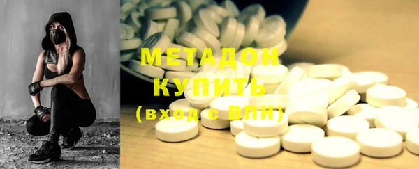 индика Козельск