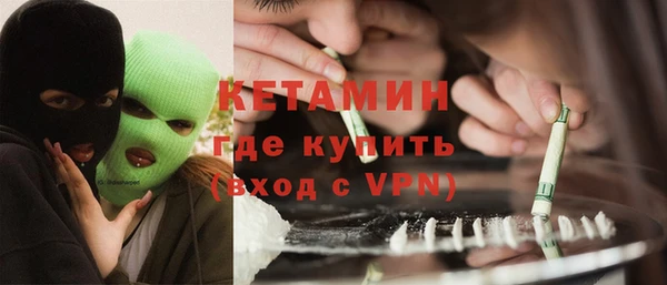 индика Козельск