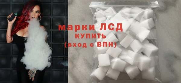 ГАЛЛЮЦИНОГЕННЫЕ ГРИБЫ Козловка