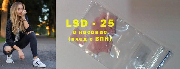 ГАЛЛЮЦИНОГЕННЫЕ ГРИБЫ Козловка
