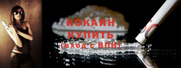 ГАЛЛЮЦИНОГЕННЫЕ ГРИБЫ Козловка
