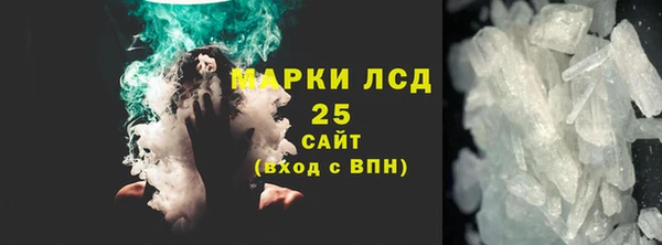 индика Козельск