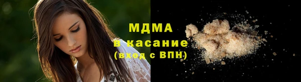 индика Козельск