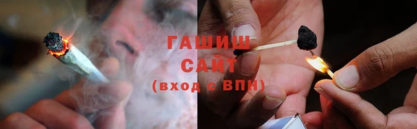 индика Козельск