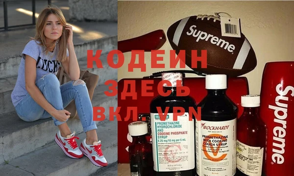 индика Козельск