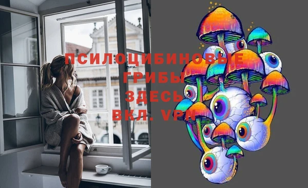 ГАЛЛЮЦИНОГЕННЫЕ ГРИБЫ Козловка