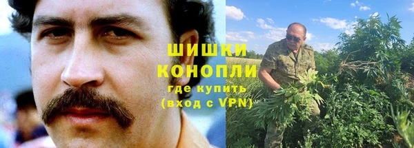 индика Козельск