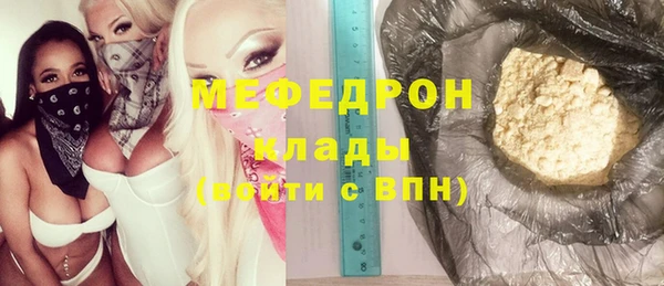 индика Козельск