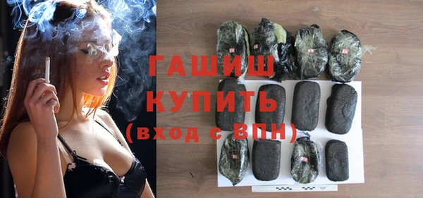 индика Козельск