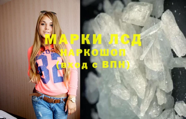 индика Козельск
