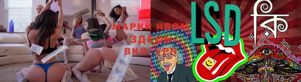 ГАЛЛЮЦИНОГЕННЫЕ ГРИБЫ Козловка