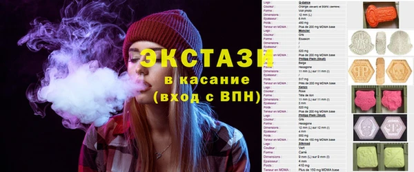 ГАЛЛЮЦИНОГЕННЫЕ ГРИБЫ Козловка