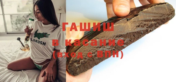индика Козельск
