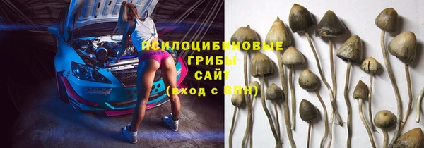 Альфа ПВП Кодинск