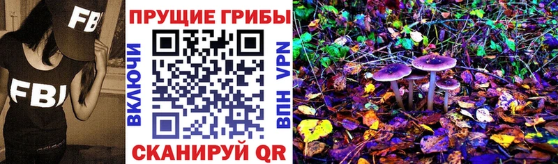 Псилоцибиновые грибы Cubensis  blacksprut рабочий сайт  Жуковский  сколько стоит 
