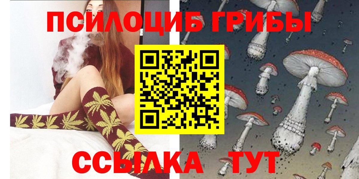 Галлюциногенные грибы MAGIC MUSHROOMS  где купить наркотик  Жуковский  Вход с VPN 
