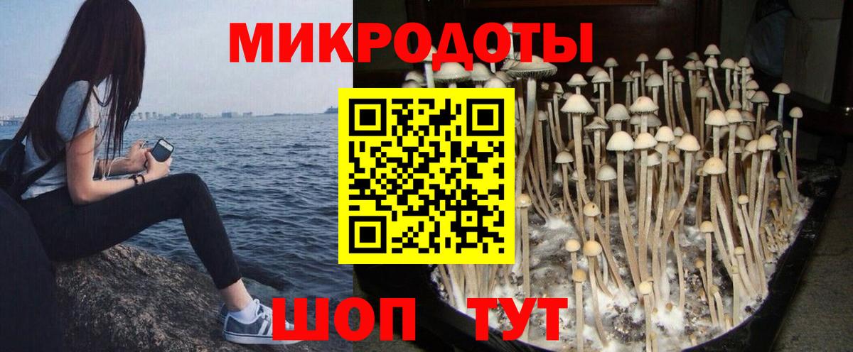 Псилоцибиновые грибы мухоморы  Жуковский 