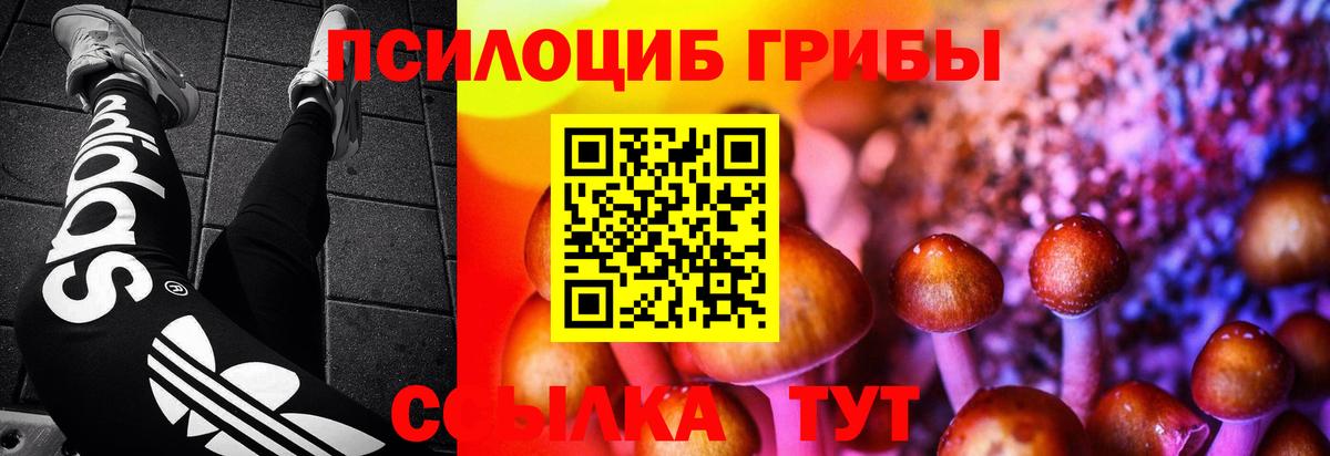 Галлюциногенные грибы ЛСД Жуковский